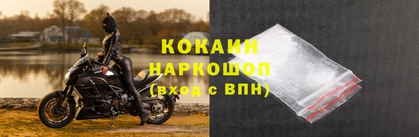 прущие грибы Бугульма