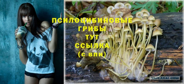 стафф Верхний Тагил