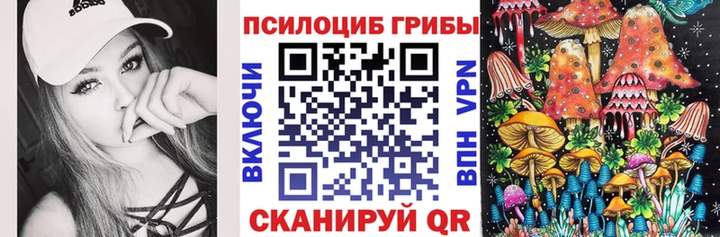где купить наркоту  Кимовск  Псилоцибиновые грибы Magic Shrooms 